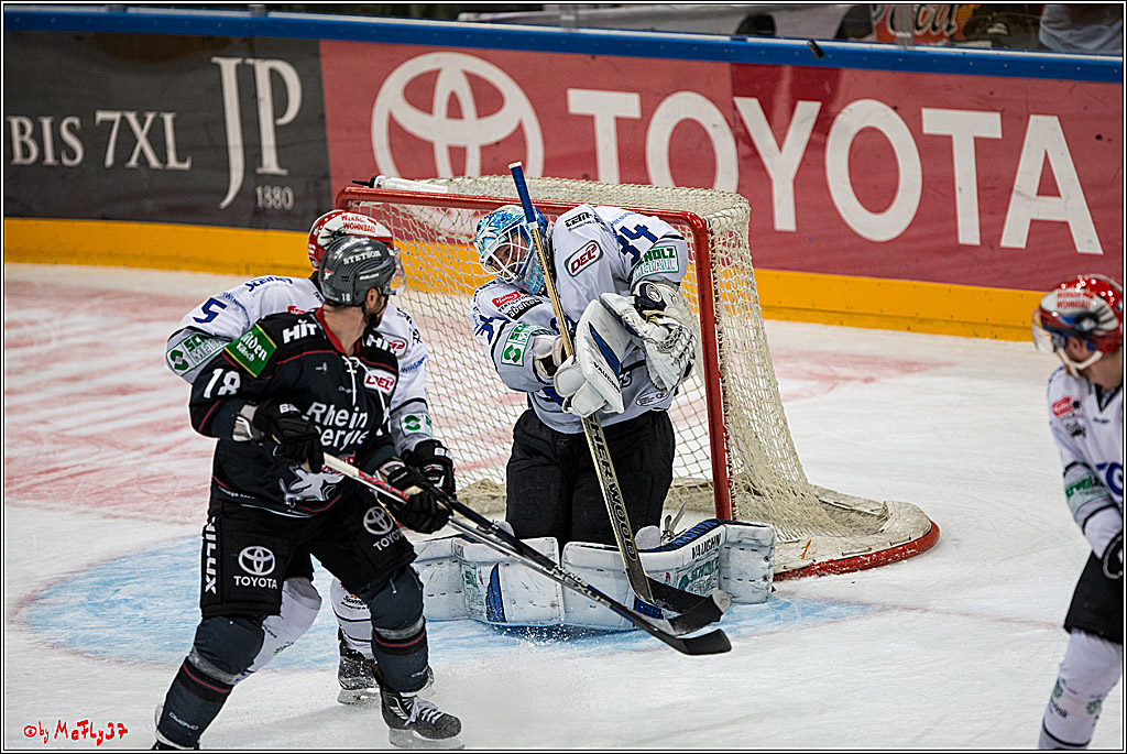 Koelner Haie - Schwenninger Wild Wings, 11.12.2016